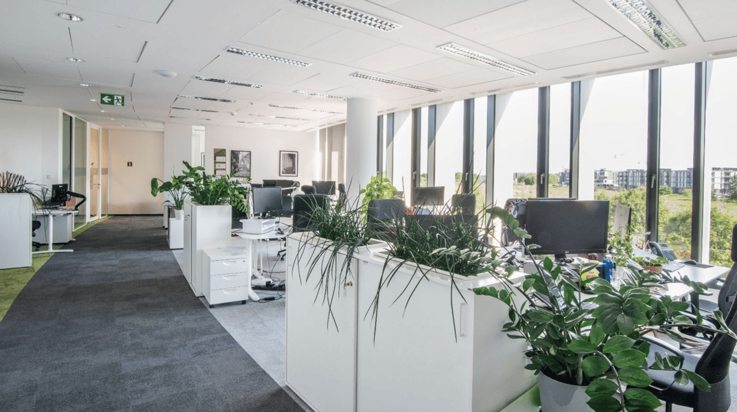 Offices Royal Wilanów, Warszawa - offices for rent